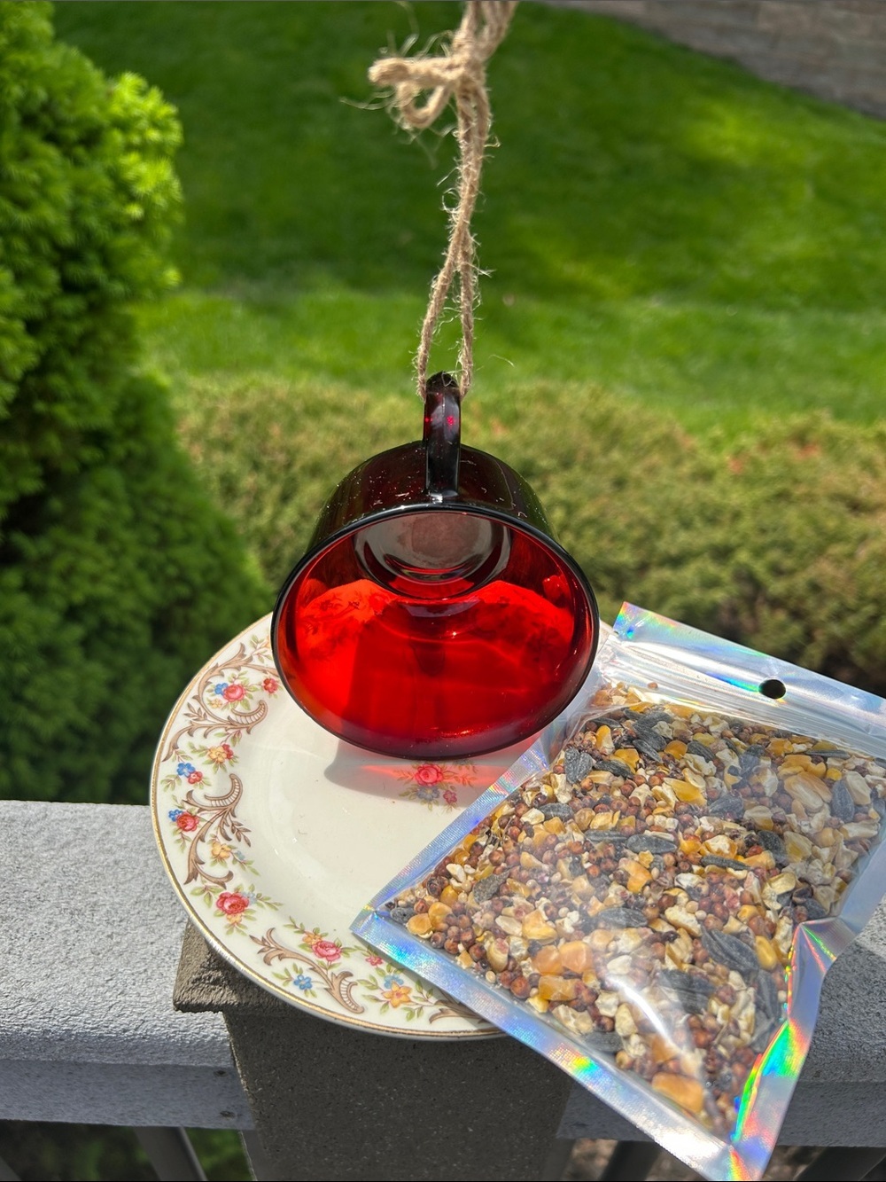 Red Glass Hanging Feeder Cup - Decorative Bird Feeder with Seed Packet